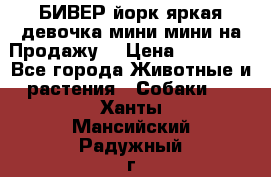 БИВЕР йорк яркая девочка мини мини на Продажу! › Цена ­ 45 000 - Все города Животные и растения » Собаки   . Ханты-Мансийский,Радужный г.